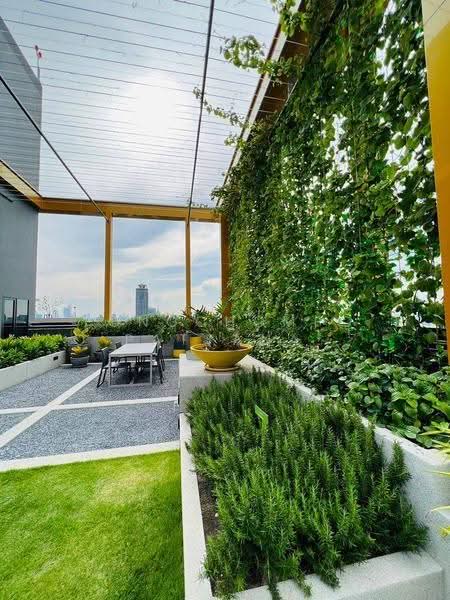 The Base Phetchaburi-Thonglor, bangkok, Phetchaburi Rd, Bang Kapi, Huai Khwang, Bangkok, 1 Bedroom, 33 sqm, Condo For Rent, by Tongchompoo Pattanachaiwongkoon, 500601574 - DDproperty.com