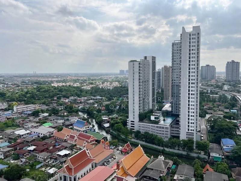 Rich Point @ BTS Wutthakat, bangkok, Wutthakat Road, Talat Plu, Thon Buri, Bangkok, 1 Bedroom, 27 sqm, Condo For Rent, by Atitayaporn Robwongjan, 500601695 - DDproperty.com