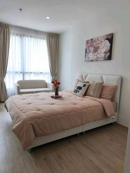 The Rich Rama 9-Srinakarin, Bangkok, Srinakarin Road, Suan Luang, Bangkok, 1 Bedroom, 28 sqm, Condo For Rent, by Thachaya Buanong, 500602102 - DDproperty.com