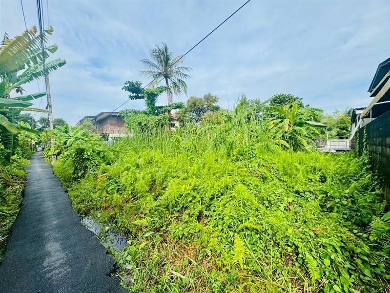 ที่ดินเปล่า 94 ตร.ว. ที่ดิน ซอยเอกชัย30 แยก14, กรุงเทพ, ถนนกาญจนาภิเษก, ท่าข้าม, บางขุนเทียน, กรุงเทพ, 376 ตร.ม., ที่ดิน ขาย, โดย คุณ ผ่องใส เปาะทอง (อัญ), 500602148 - DDproperty.com