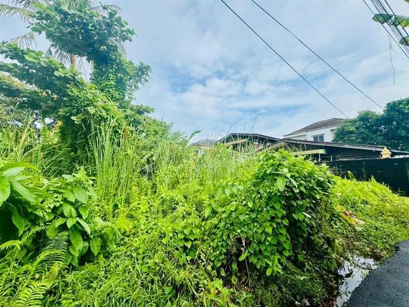 ที่ดินเปล่า 94 ตร.ว. ที่ดิน ซอยเอกชัย30 แยก14, กรุงเทพ, ถนนกาญจนาภิเษก, ท่าข้าม, บางขุนเทียน, กรุงเทพ, 376 ตร.ม., ที่ดิน ขาย, โดย คุณ ผ่องใส เปาะทอง (อัญ), 500602148 - DDproperty.com