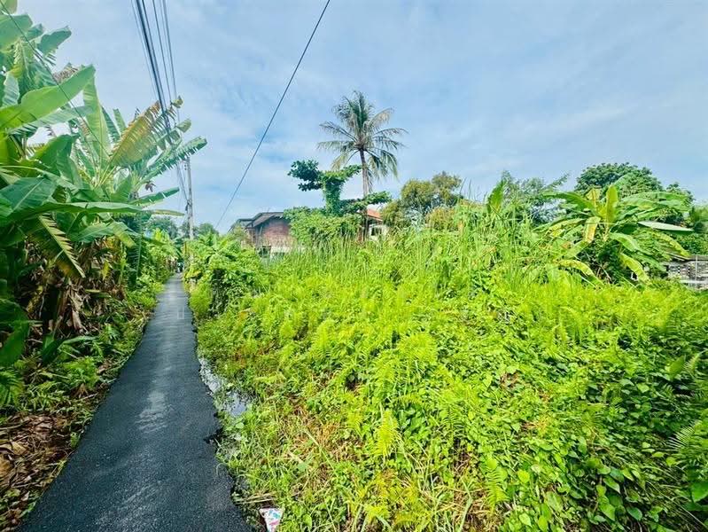 ที่ดินเปล่า 94 ตร.ว. ที่ดิน ซอยเอกชัย30 แยก14, กรุงเทพ, ถนนกาญจนาภิเษก, ท่าข้าม, บางขุนเทียน, กรุงเทพ, 376 ตร.ม., ที่ดิน ขาย, โดย คุณ ผ่องใส เปาะทอง (อัญ), 500602148 - DDproperty.com
