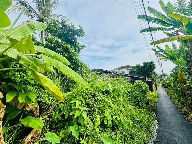 ที่ดินเปล่า 94 ตร.ว. ที่ดิน ซอยเอกชัย30 แยก14, กรุงเทพ, ถนนกาญจนาภิเษก, ท่าข้าม, บางขุนเทียน, กรุงเทพ, 376 ตร.ม., ที่ดิน ขาย, โดย คุณ ผ่องใส เปาะทอง (อัญ), 500602148 - DDproperty.com