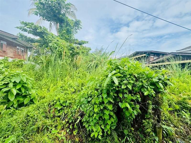ที่ดินเปล่า 94 ตร.ว. ที่ดิน ซอยเอกชัย30 แยก14, กรุงเทพ, ถนนกาญจนาภิเษก, ท่าข้าม, บางขุนเทียน, กรุงเทพ, 376 ตร.ม., ที่ดิน ขาย, โดย คุณ ผ่องใส เปาะทอง (อัญ), 500602148 - DDproperty.com