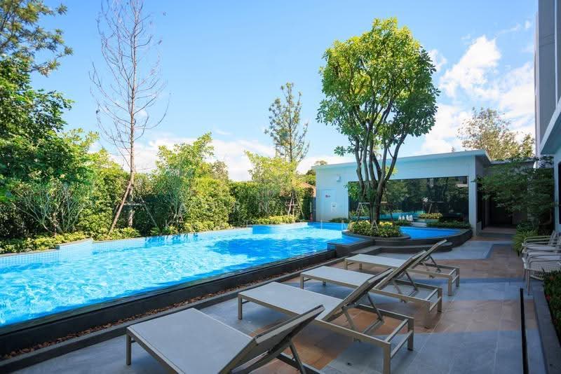 The Next Jedyod, Chiang Mai, Chang Phuak, Muang Chiang Mai, Chiang Mai, Studio, 30 sqm, Condo For Rent, by Aornjira Khatthima, 500602206 - DDproperty.com