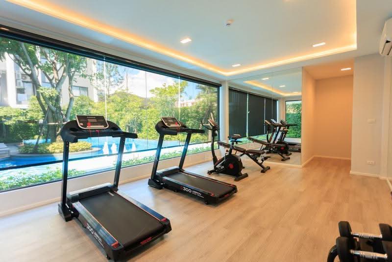 The Next Jedyod, Chiang Mai, Chang Phuak, Muang Chiang Mai, Chiang Mai, Studio, 30 sqm, Condo For Rent, by Aornjira Khatthima, 500602206 - DDproperty.com