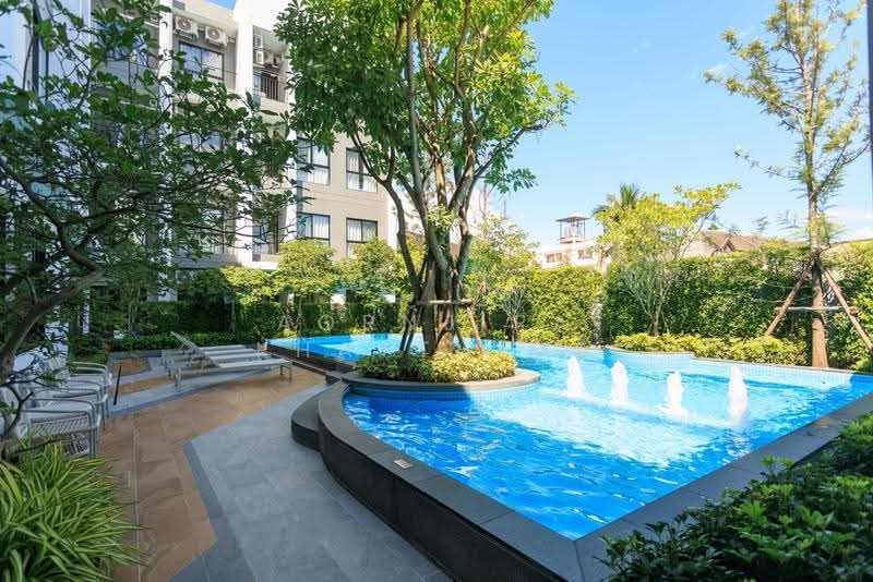 The Next Jedyod, Chiang Mai, Chang Phuak, Muang Chiang Mai, Chiang Mai, Studio, 30 sqm, Condo For Rent, by Aornjira Khatthima, 500602206 - DDproperty.com