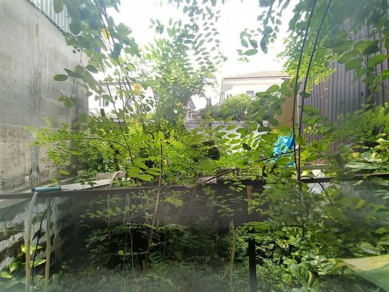 รังสิยา กม.10 ซอยรามอินทรา64, bangkok, ถนนรามอินทรา, Khan Na Yao, Bangkok, 2 Bedrooms, 100 sqm, Townhouse For Sale, by คุณ ณิชาภัทร พลอยแดง (นิว), 500602297 - DDproperty.com
