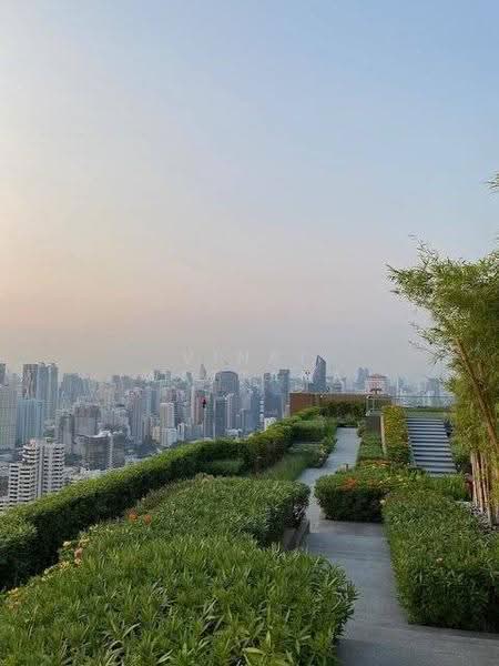 Oka Haus Sukhumvit 36, Bangkok, 3399 Rama 4 Road, Khong Tan, Khlong Toei, Bangkok, 1 Bedroom, 35 sqm, Condo For Rent, by Vinai Wattana, 500602301 - DDproperty.com