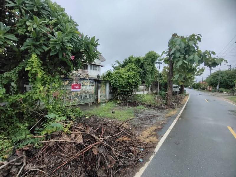 บ้านเดี่ยวพร้อมที่ดินสามชุก สุพรรณบุรี, suphan-buri, Yan Yao, Sam Chuk, Suphan Buri, 5 Bedrooms, 150 sqm, Single Detached House For Sale, by The Best Property ปุ๊ก, 500602533 - DDproperty.com