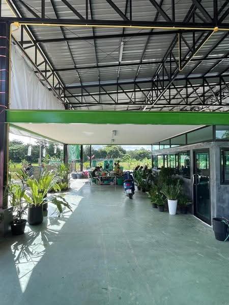 บ้านดู่, เชียงราย, บ้านดู่, เมืองเชียงราย, เชียงราย, 1,291 ตร.ม., โกดัง-โรงงาน ขาย, โดย กมลพรรณ ดวงดารา, 500602583 - DDproperty.com
