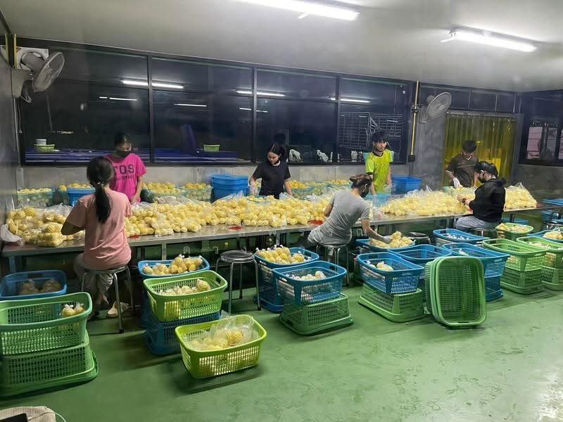 บ้านดู่, Chiang Rai, Ban Du, Muang Chiang Rai, Chiang Rai, , 1,291 sqm, Warehouse/Factory For Sale, by กมลพรรณ ดวงดารา, 500602583 - DDproperty.com