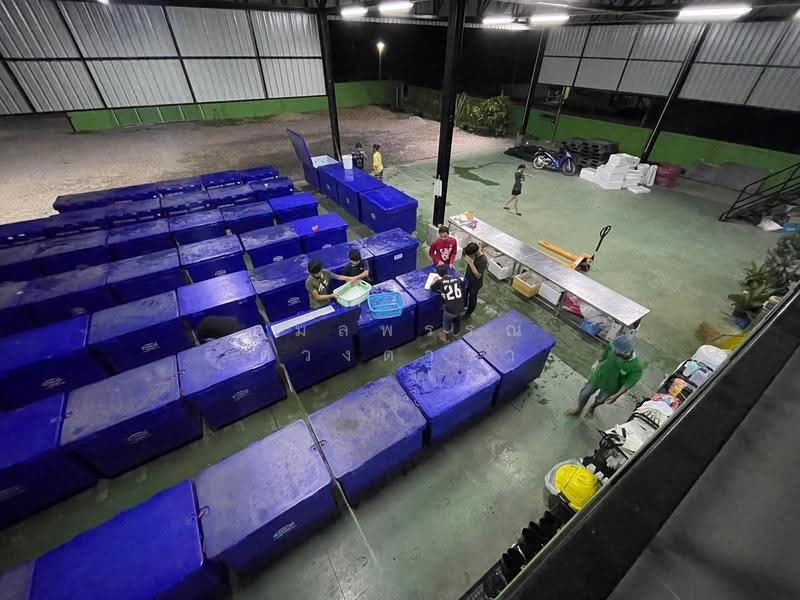 บ้านดู่, Chiang Rai, Ban Du, Muang Chiang Rai, Chiang Rai, , 1,291 sqm, Warehouse/Factory For Sale, by กมลพรรณ ดวงดารา, 500602583 - DDproperty.com
