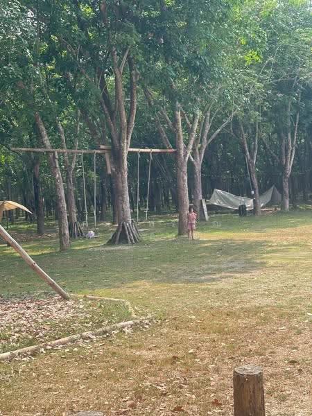 บ้านดู่, เชียงราย, บ้านดู่, เมืองเชียงราย, เชียงราย, 1,291 ตร.ม., โกดัง-โรงงาน ขาย, โดย กมลพรรณ ดวงดารา, 500602583 - DDproperty.com