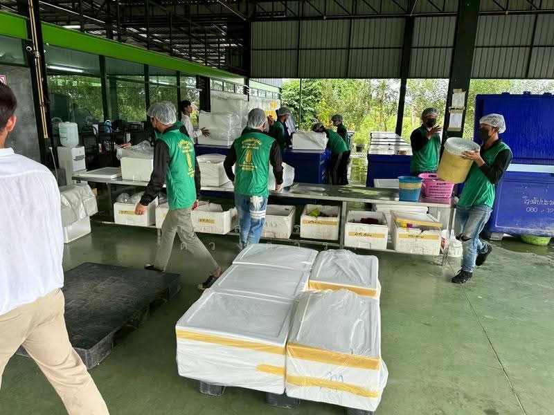 บ้านดู่, เชียงราย, บ้านดู่, เมืองเชียงราย, เชียงราย, 1,291 ตร.ม., โกดัง-โรงงาน ขาย, โดย กมลพรรณ ดวงดารา, 500602583 - DDproperty.com