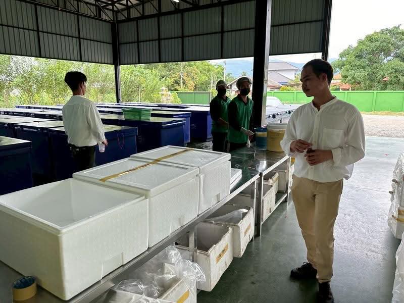 บ้านดู่, เชียงราย, บ้านดู่, เมืองเชียงราย, เชียงราย, 1,291 ตร.ม., โกดัง-โรงงาน ขาย, โดย กมลพรรณ ดวงดารา, 500602583 - DDproperty.com