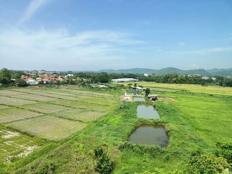 Serene Lake North 1, chiang-mai, Somphot Chiang Mai 700 Pi Rd, Su Thep, Muang Chiang Mai, Chiang Mai, 1 Bedroom, 35 sqm, Condo For Rent, by Nantawan Rattanapong, 500602599 - DDproperty.com