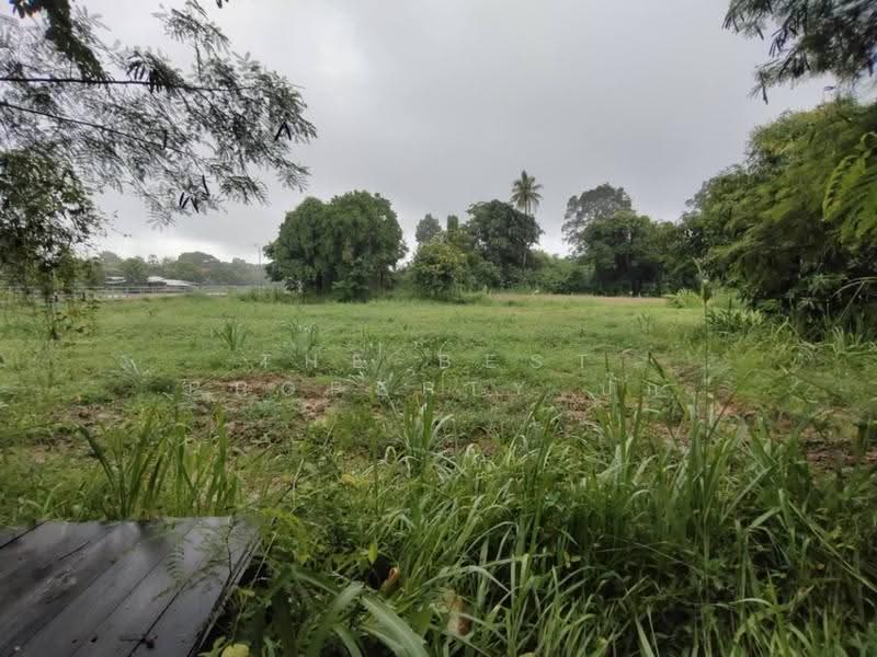ที่ดินสามชุก สุพรรณบุรี, suphan-buri, Yan Yao, Sam Chuk, Suphan Buri, , 3,904 sqm, Land For Sale, by The Best Property ปุ๊ก, 500602625 - DDproperty.com
