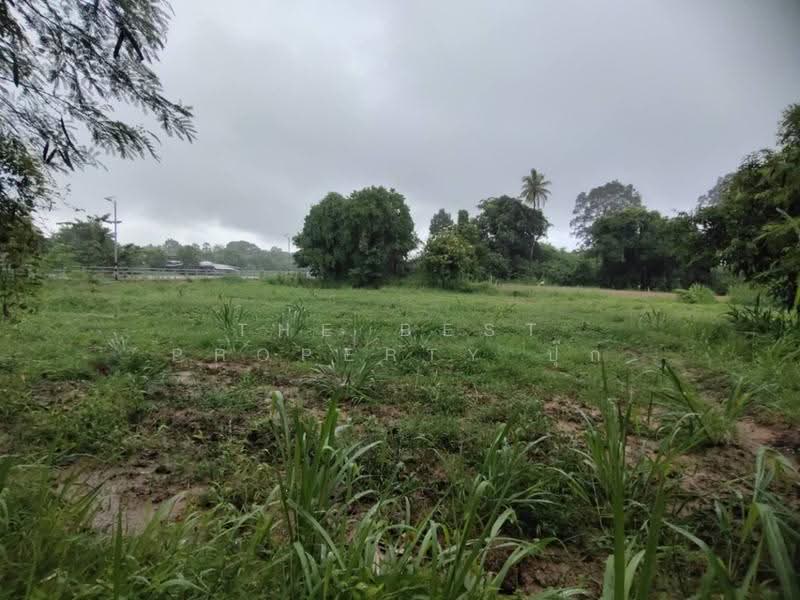 ที่ดินสามชุก สุพรรณบุรี, suphan-buri, Yan Yao, Sam Chuk, Suphan Buri, , 3,904 sqm, Land For Sale, by The Best Property ปุ๊ก, 500602625 - DDproperty.com