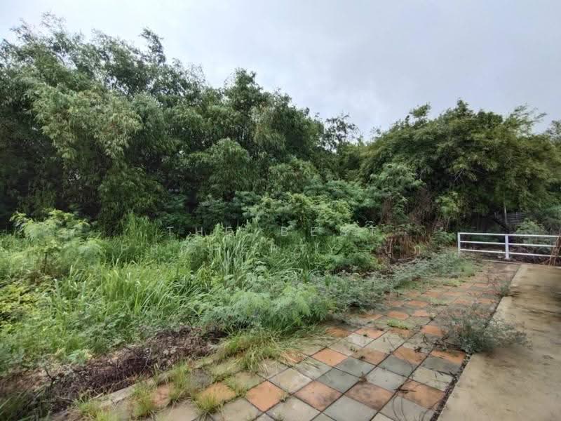 ที่ดินสามชุก สุพรรณบุรี, suphan-buri, Yan Yao, Sam Chuk, Suphan Buri, , 3,904 sqm, Land For Sale, by The Best Property ปุ๊ก, 500602625 - DDproperty.com