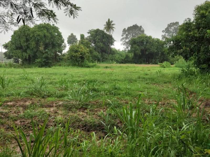 ที่ดินสามชุก สุพรรณบุรี, suphan-buri, Yan Yao, Sam Chuk, Suphan Buri, , 3,904 sqm, Land For Sale, by The Best Property ปุ๊ก, 500602625 - DDproperty.com