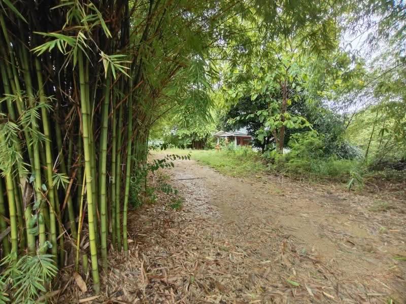 ที่ดินสามชุก สุพรรณบุรี, suphan-buri, Yan Yao, Sam Chuk, Suphan Buri, , 3,904 sqm, Land For Sale, by The Best Property ปุ๊ก, 500602625 - DDproperty.com