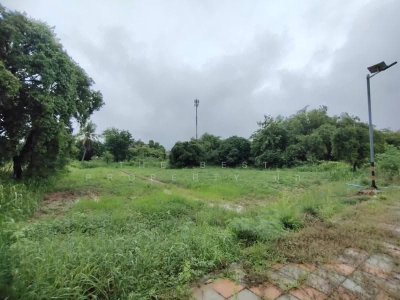 ที่ดินสามชุก สุพรรณบุรี, suphan-buri, Yan Yao, Sam Chuk, Suphan Buri, , 3,904 sqm, Land For Sale, by The Best Property ปุ๊ก, 500602625 - DDproperty.com