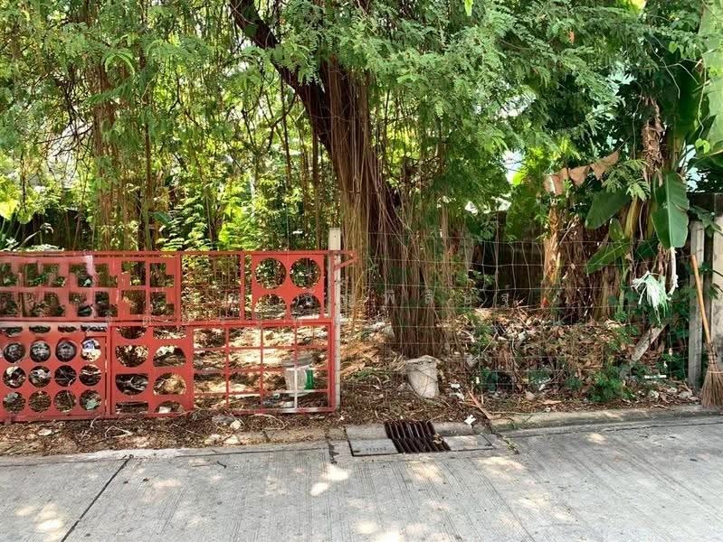 ที่ดินเปล่า 42 ตร.ว. ใกล้รถไฟรถไฟฟ้สายสีเหลือง ซอยลาดพร้าว34, กรุงเทพ, ถนนลาดพร้าว, สามเสนนอก, ห้วยขวาง, กรุงเทพ, 168 ตร.ม., ที่ดิน ขาย, โดย คุณ ธัญพิสิษฐ์ จิตประพัฒน์ (โซน), 500602657 - DDproperty.com
