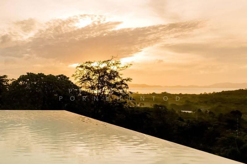 undefined, Phuket, Pa Khlok, Thalang, Phuket, 6 Bedrooms, 850 sqm, Villa For Sale, by Hirun Puekmaneejinda, 500602876 - DDproperty.com