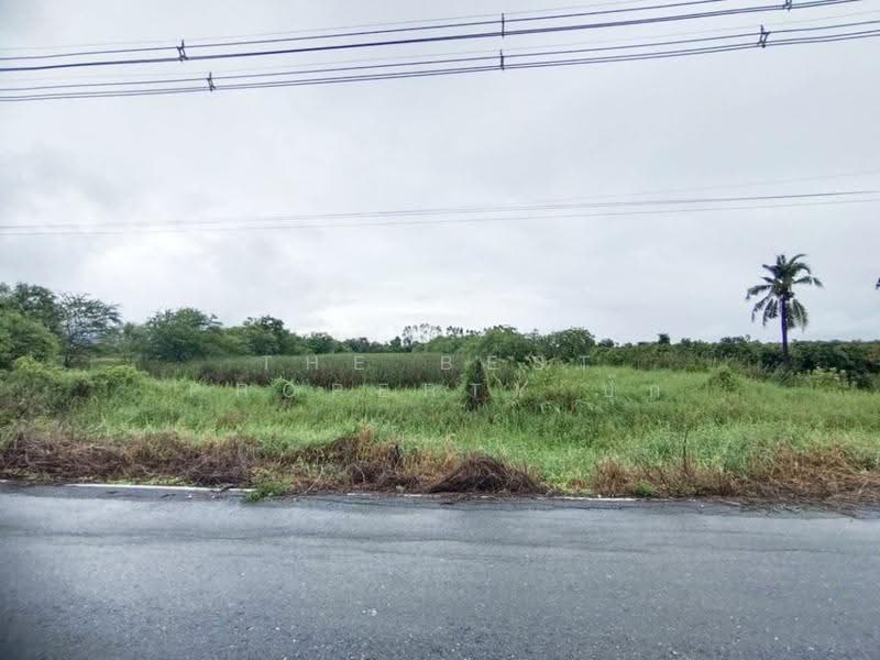 ที่ดินสามชุก สุพรรณบุรี, suphan-buri, Yan Yao, Sam Chuk, Suphan Buri, , 8,336 sqm, Land For Sale, by The Best Property ปุ๊ก, 500602918 - DDproperty.com