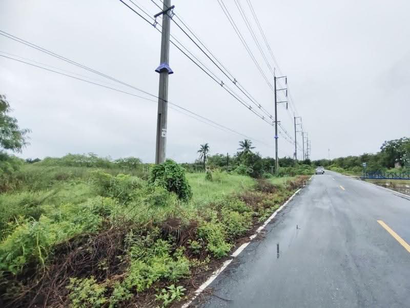 ที่ดินสามชุก สุพรรณบุรี, suphan-buri, Yan Yao, Sam Chuk, Suphan Buri, , 8,336 sqm, Land For Sale, by The Best Property ปุ๊ก, 500602918 - DDproperty.com