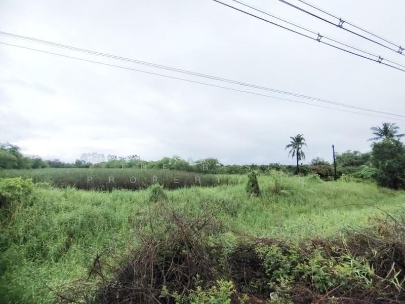 ที่ดินสามชุก สุพรรณบุรี, สุพรรณบุรี, ย่านยาว, สามชุก, สุพรรณบุรี, 8,336 ตร.ม., ที่ดิน ขาย, โดย The Best Property ปุ๊ก, 500602918 - DDproperty.com
