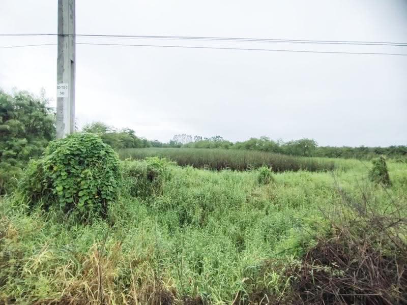 ที่ดินสามชุก สุพรรณบุรี, suphan-buri, Yan Yao, Sam Chuk, Suphan Buri, , 8,336 sqm, Land For Sale, by The Best Property ปุ๊ก, 500602918 - DDproperty.com