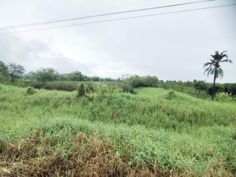 ที่ดินสามชุก สุพรรณบุรี, suphan-buri, Yan Yao, Sam Chuk, Suphan Buri, , 8,336 sqm, Land For Sale, by The Best Property ปุ๊ก, 500602918 - DDproperty.com
