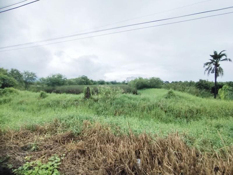 ที่ดินสามชุก สุพรรณบุรี, สุพรรณบุรี, ย่านยาว, สามชุก, สุพรรณบุรี, 8,336 ตร.ม., ที่ดิน ขาย, โดย The Best Property ปุ๊ก, 500602918 - DDproperty.com
