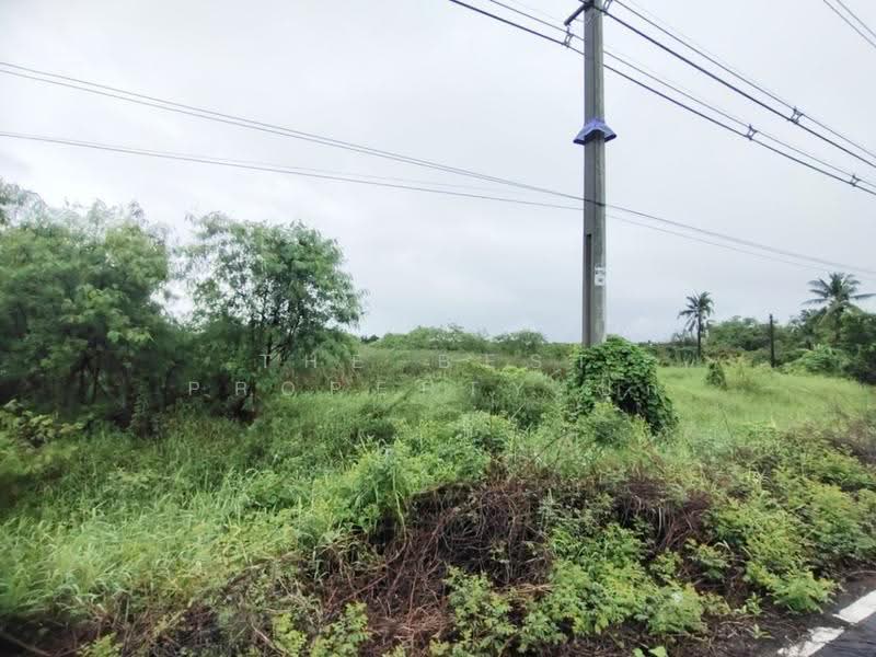 ที่ดินสามชุก สุพรรณบุรี, suphan-buri, Yan Yao, Sam Chuk, Suphan Buri, , 8,336 sqm, Land For Sale, by The Best Property ปุ๊ก, 500602918 - DDproperty.com
