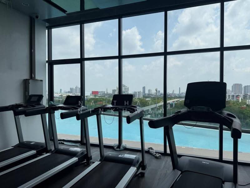 The Rich Rama 9-Srinakarin, Bangkok, Srinakarin Road, Suan Luang, Bangkok, 1 Bedroom, 25 sqm, Condo For Rent, by Natthaya Ninkhwan, 500603079 - DDproperty.com