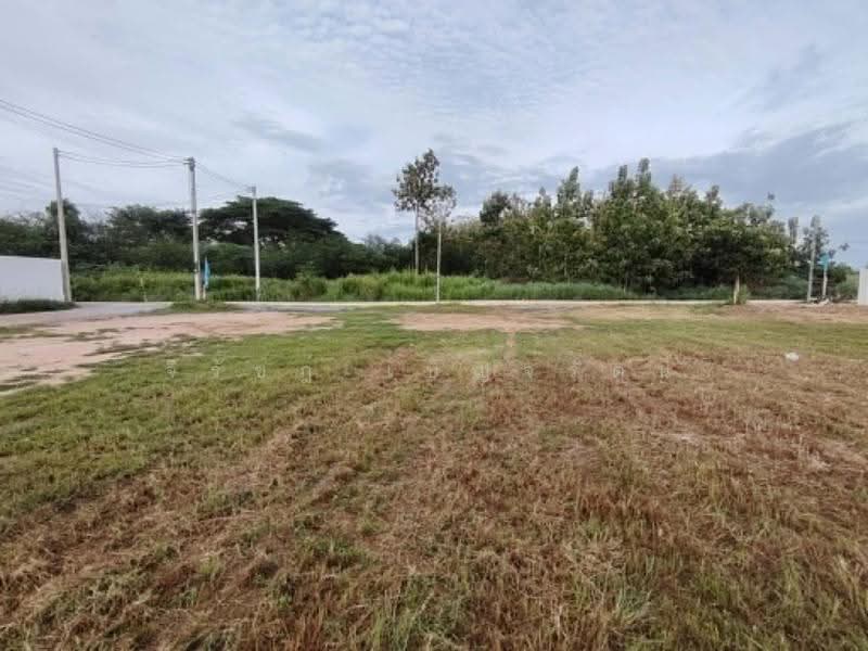 392.2 TW | Hot! Ideal Start Up Home Development! 3 Chanote Title Deed Plots & Private Access Road, prachuap-khiri-khan, Hin Lek Fai, Hua Hin, Prachuap Khiri Khan, , 1,568 sqm, Land For Sale, by จิรัชฎ์ เบ็ญจรัตน์, 500603170 - DDproperty.com