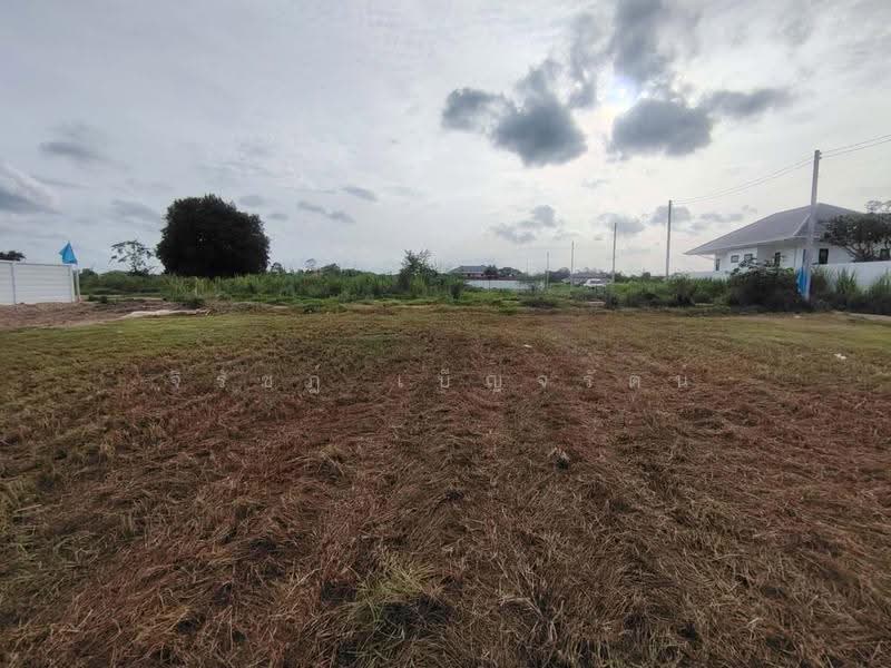 392.2 TW | Hot! Ideal Start Up Home Development! 3 Chanote Title Deed Plots & Private Access Road, prachuap-khiri-khan, Hin Lek Fai, Hua Hin, Prachuap Khiri Khan, , 1,568 sqm, Land For Sale, by จิรัชฎ์ เบ็ญจรัตน์, 500603170 - DDproperty.com
