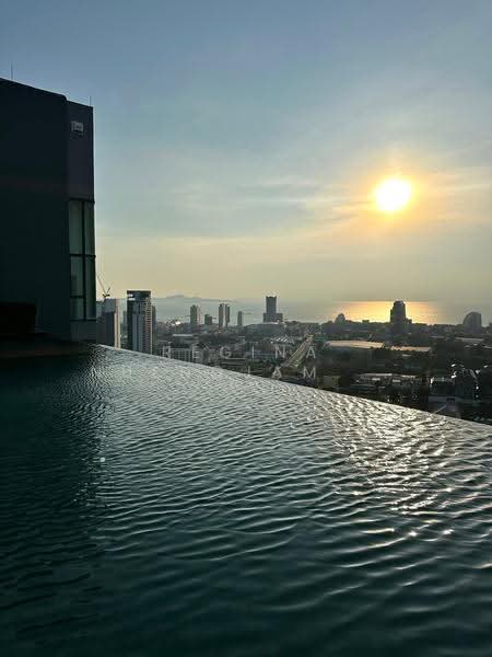 Pattaya Posh : พัทยา พอช, ชลบุรี, 88 ถนน พัทยาเหนือ, เมืองพัทยา, บางละมุง, ชลบุรี, 31 ตร.ม., คอนโด ขาย, โดย Regina Nuengjamnong, 500603349 - DDproperty.com