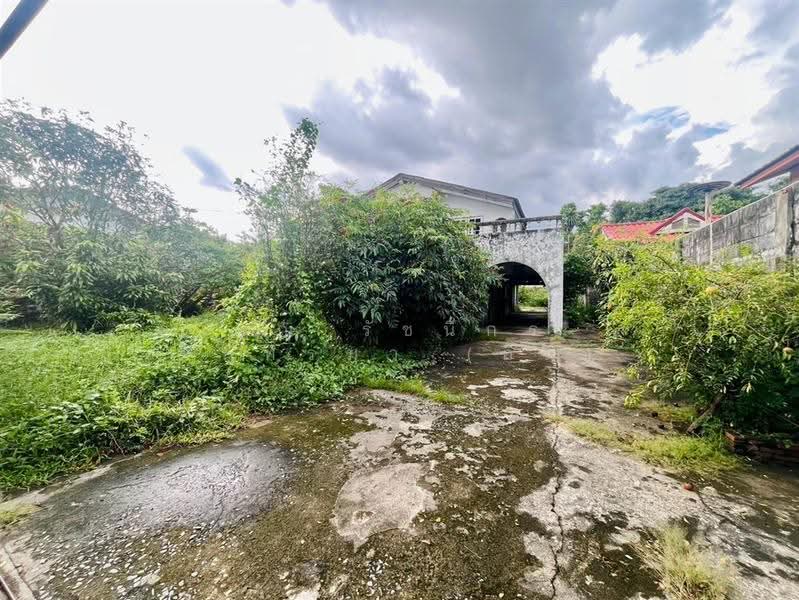 ที่ดิน + บ้าน 2 ชั้น 190 ตร.ว. หมู่บ้านศรีนครพัฒนา นวมินทร์24, กรุงเทพ, ถนนนวมินทร์, คลองกุ่ม, บึงกุ่ม, กรุงเทพ, 760 ตร.ม., ที่ดิน ขาย, โดย คุณ รัชนีกร จันทร์มา (อิม), 500603457 - DDproperty.com