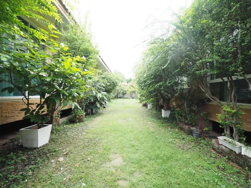 ซอยพระแม่การุณย์, นนทบุรี, ติวานนท์, บ้านใหม่, ปากเกร็ด, นนทบุรี, 600 ตร.ม., บ้านเดี่ยว ขาย, โดย ทิพวรรณ (กั้ง) สุทธิวารี, 500603960 - DDproperty.com