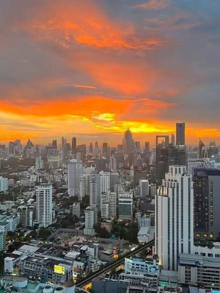 ASHTON Asoke, Bangkok, 131 Asoke Montri Road, Khlongtoei Nua, Watthana, Bangkok, 1 Bedroom, 35 sqm, Condo For Rent, by Jettapat Jaroonpipatkun, 500604203 - DDproperty.com