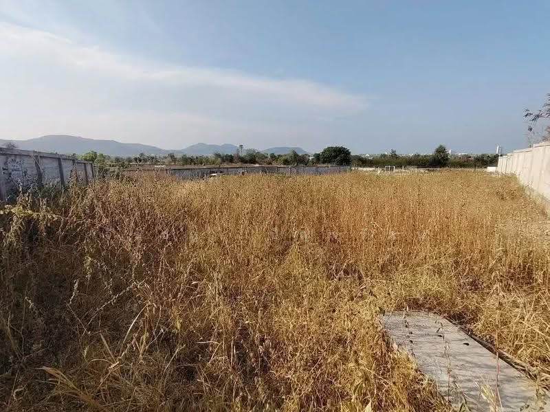 387 TW | Prime Home Plot near city Center Urgent Land Sale - Reduced Price, prachuap-khiri-khan, Nong Kae, Hua Hin, Prachuap Khiri Khan, , 1,548 sqm, Land For Sale, by จิรัชฎ์ เบ็ญจรัตน์, 500604740 - DDproperty.com