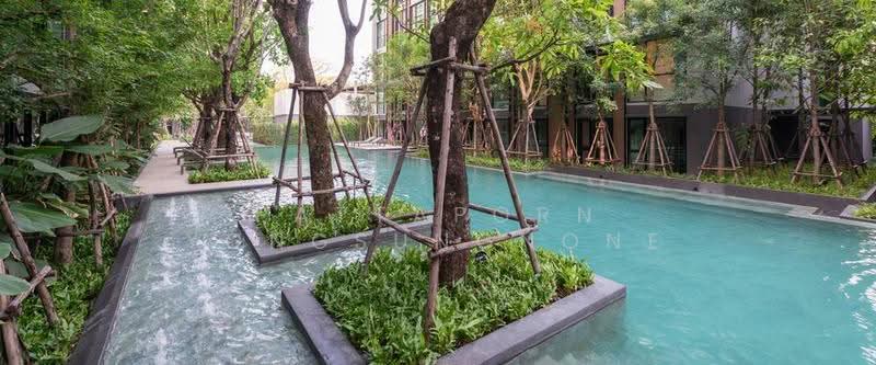 Vtara Sukhumvit 36 : วีธารา สุขุมวิท 36, กรุงเทพ, 118 ซอยแสนสบาย, พระโขนง, คลองเตย, กรุงเทพ, 36 ตร.ม., คอนโด ให้เช่า, โดย Pattaporn Yongsungnone, 500604783 - DDproperty.com