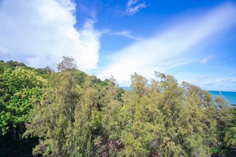 Kaps Creative, rayong, -, Chakphong, Klaeng, Rayong, 1 Bedroom, 193 sqm, Single Detached House For Sale, by อรัญญา ระยาย้อย, 500604824 - DDproperty.com