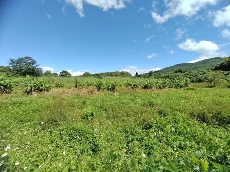 ที่ดินเชียงกลาง น่าน, nan, Phaya Kaeo, Chiang Klang, Nan, , 14,788 sqm, Land For Sale, by The Best Property เปี๊ยก, 500604877 - DDproperty.com
