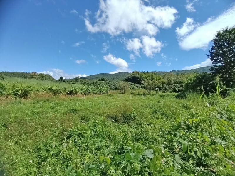 ที่ดินเชียงกลาง น่าน, nan, Phaya Kaeo, Chiang Klang, Nan, , 14,788 sqm, Land For Sale, by The Best Property เปี๊ยก, 500604877 - DDproperty.com