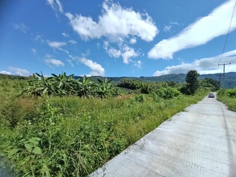 ที่ดินเชียงกลาง น่าน, nan, Phaya Kaeo, Chiang Klang, Nan, , 14,788 sqm, Land For Sale, by The Best Property เปี๊ยก, 500604877 - DDproperty.com
