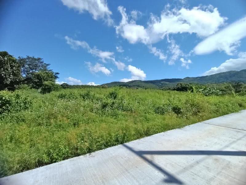 ที่ดินเชียงกลาง น่าน, nan, Phaya Kaeo, Chiang Klang, Nan, , 14,788 sqm, Land For Sale, by The Best Property เปี๊ยก, 500604877 - DDproperty.com